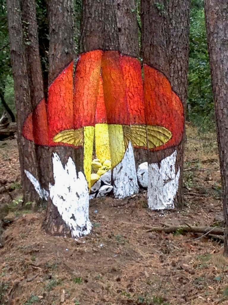 Amanita caesarea painting