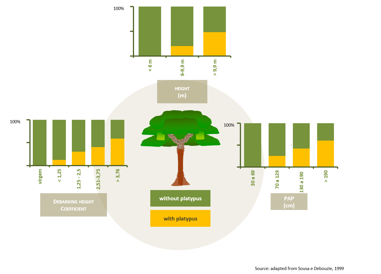 Platypus presence according to the cork oak characteristics