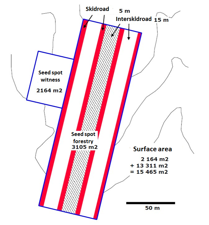 Example of a cork oak plot device