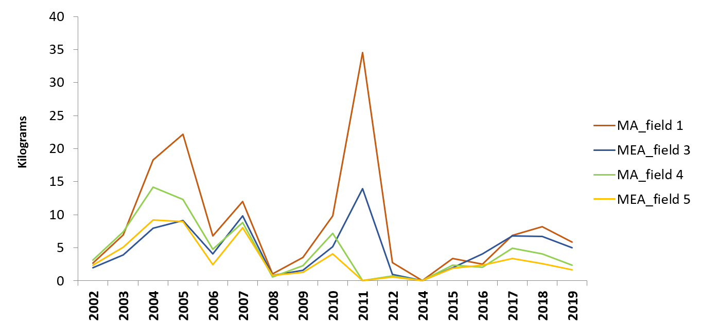 Average anual production (pine cones weight/ tree) between 2002 and 2019 with manual and mechanical harvesting