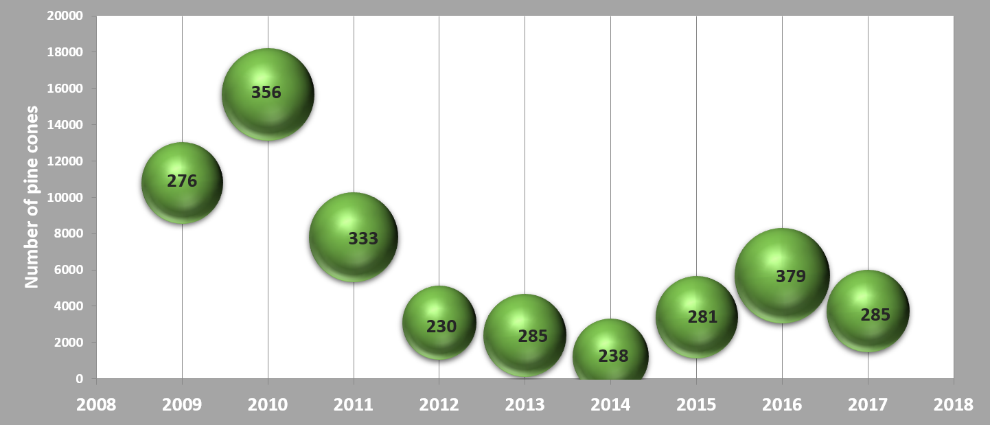 Annual average pine cone weight and total production (n.º) in a site located in the Coruche County, Portugal. APFC, 2018. 