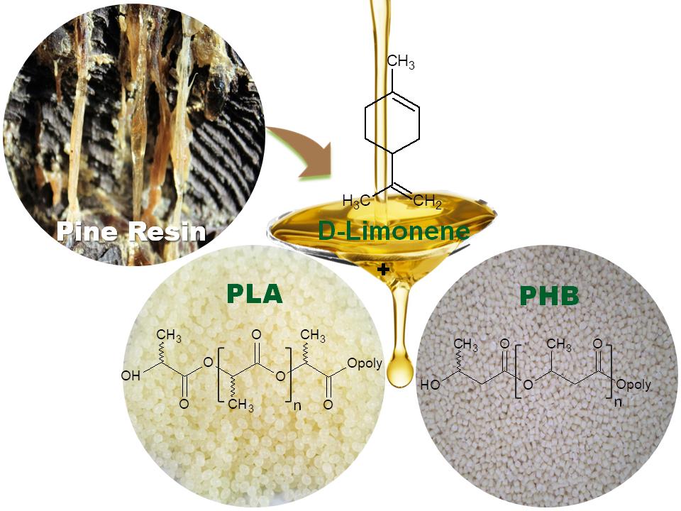 Schematic representation of the thermoplastic starch (TPS) preparation and the processing of TPS–resin blend formulations pine resin derivatives.