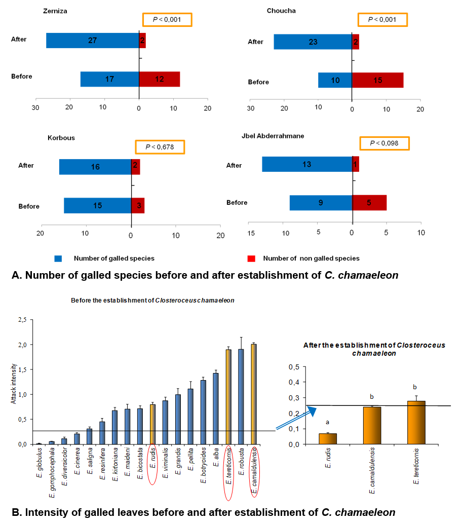 Number and intensity of galled species before and after establishment of C. chamaeleon Number and intensity of galled species before and after establishment of C. chamaeleon