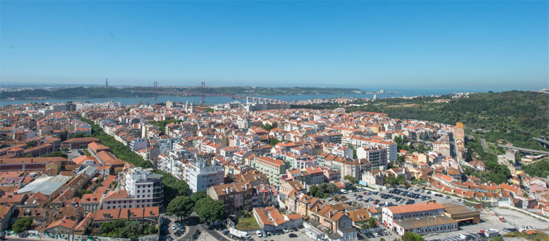 Figure 4 Street trees in Rua Ferreira Borges, in the centre of Lisbon, with Monsanto Park on the right. Source: CML.