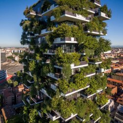 milan-boeri-bosco-verticale-img.jpg