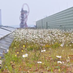 queenelizabetholympicparkbiosolarconnop.JPG