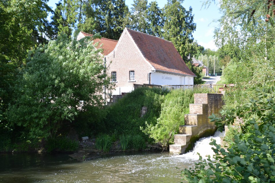 Zwalm river in Belgium (photo: Marie Anne Forio, Ghent University)