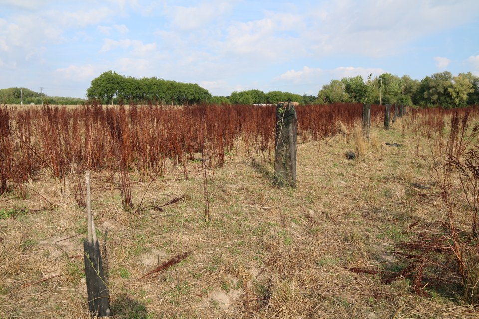 Ferme des Clos (c) Saaltus Ferme des Clos (c) Saaltus