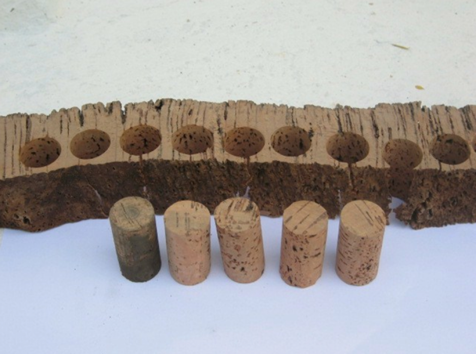Cork stoppers Cork stoppers