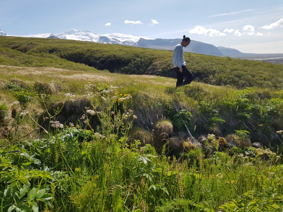 Hjörtur Þorbjörnsson in the field with caraway growing in the foreground