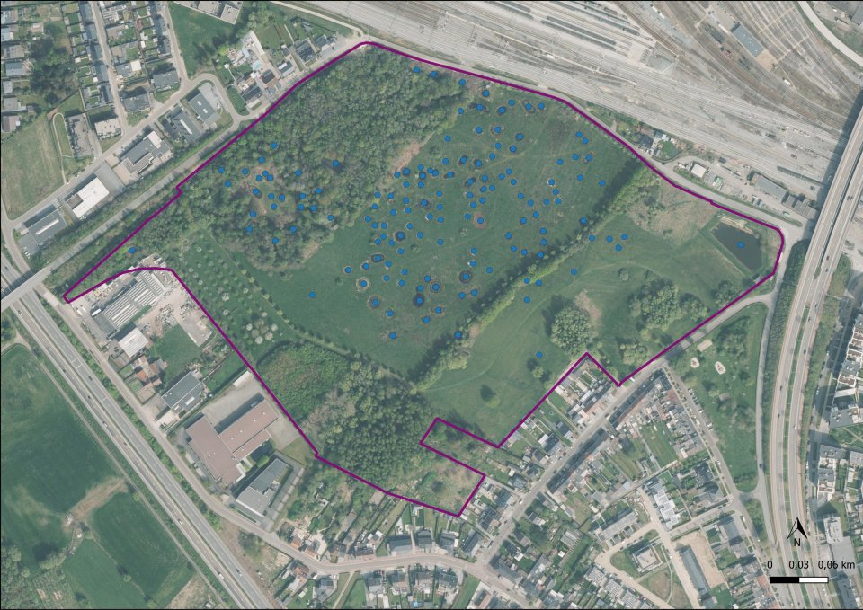 TOMMELEN demosite TOMMELEN demosite