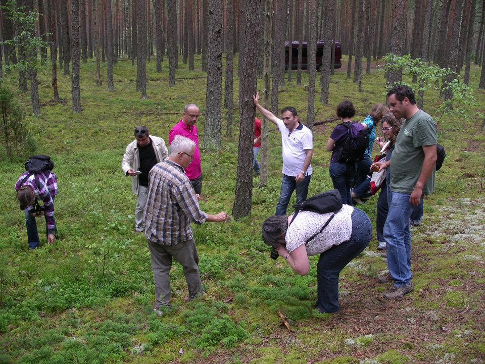 Plant wild training Plant wild training