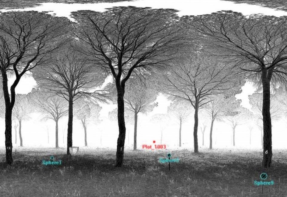 Point cloud obtained from a Terrestrial Laser Scan. Point cloud obtained from a Terrestrial Laser Scan.