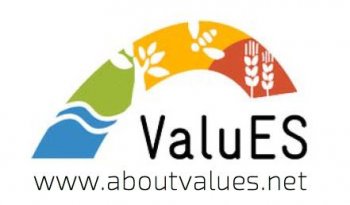 ValuES