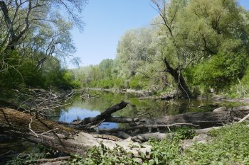 Danube estuary Tiergartenarm (Austria) (photo viadonau)