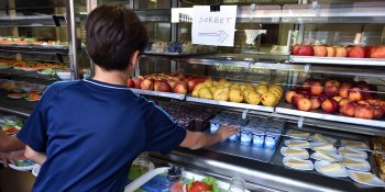 Canteens of Mouans-Sartoux supplied by a sustainable urban farm