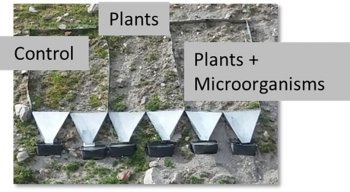 Example of one of the 20 test fields in which the erosion reduction was tested. Each installation  had three 2x3m plots and was composed of a control plot with no intervention, a plot treated with plant  seeds only and a third plot with a mixture of seeds and microorganisms.