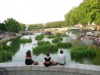 Quay Gardens - Habitats for local species