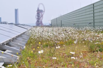 queenelizabetholympicparkbiosolarconnop.JPG