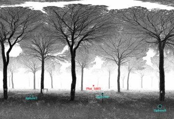 Point cloud obtained from a Terrestrial Laser Scan.