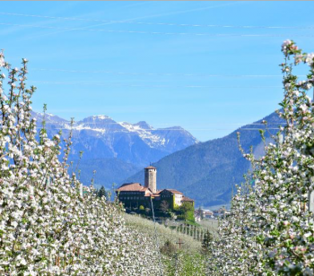 Val di non