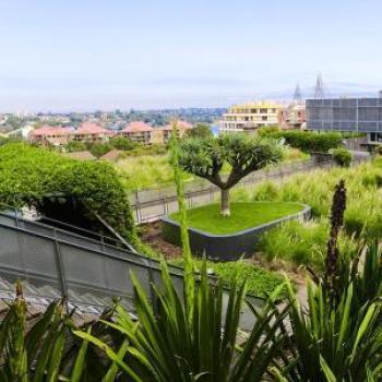 Urban green infrastructure