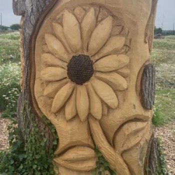 Sunflower carved into tree trunk
