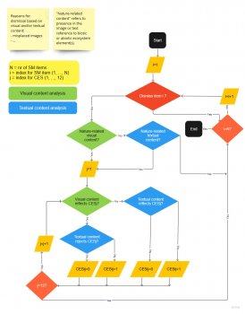 Coding flowchart