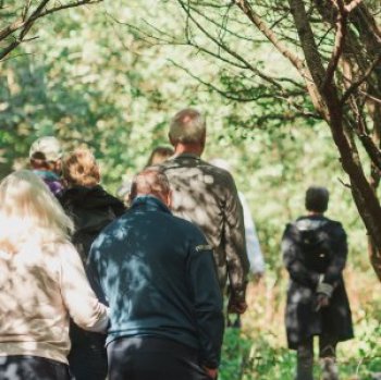 People walking away from the camera in woodland