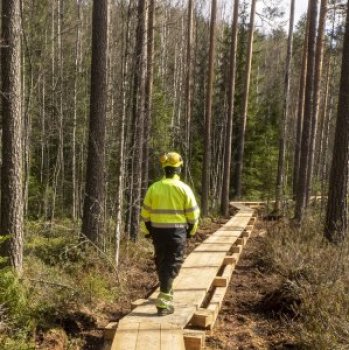 Person walking on wooden pathway in a forest