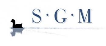 SGM consultancy