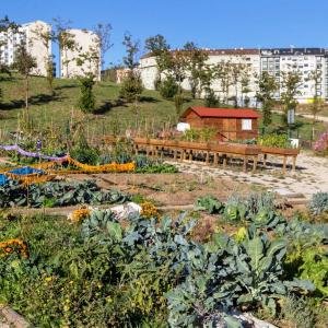 URBAN ECOLOGICAL GARDENS: EDUCATING AND ENGAGING CITIZENSHIP IN THE IMPROVEMENT OF URBAN BIODIVERSITY AND RESPONSIBLE CONSUMPTION PRACTICES