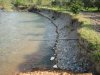 River bank erosion due to the November 2005 flood.  3 m of the bank was eroded from an agricultural field located next to the river.