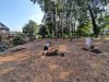 Mulched area is ready for planting trees and bushes