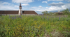 Green roof at University Hospital, Basel. Author: Stephan Brenneisen