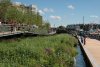 Floating reed beds - credit to Grant Associates