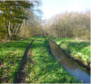 Stiemer stream and active travel route. Due to the condition of the active travel route, it can be difficult to use at some times of the year. @ City of Genk