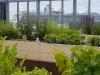 The block is next to the Southern harbor of Helsinki. In the green house, the plants grown by the residents flourish in the beginning of June. Photo: Marja Mesimäki.