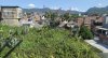 Pilot project of green roofs in a community of Rio de Janeiro, Brazil (Image from Herzong and Rozado 2019).