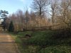 Hedgelaying on the bridge - credit to the National Trust