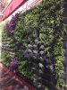 Green wall Dec 2019