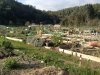 Market Gardener of Mouas-Sartoux