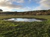 Finished scrape at Weston Moor - credit to Avon Wildlife Trust