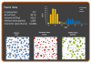 Example Marteloscope site information: summary of stand data.