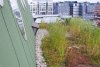 Oh Boy green roof in Malmö, Sweden