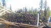 Construction of the green roof