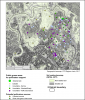 Figure 6. The map represents the spatial basic information for planning pilot projects for pollinators support in the II District of Rome. 