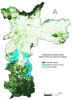 São Paulo Vegetation Cover. Source: São Paulo, 2020.