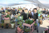 School students learning in one of the urban orchards. Source: CONQUITO, 2018. 