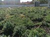 Greenroof Nov 2020